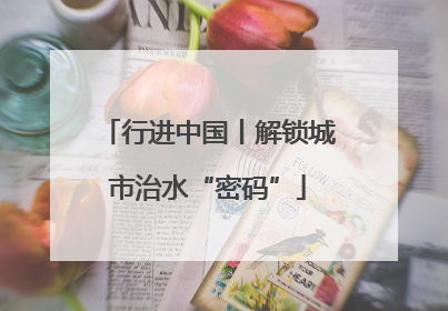 行进中国丨解锁城市治水“密码”