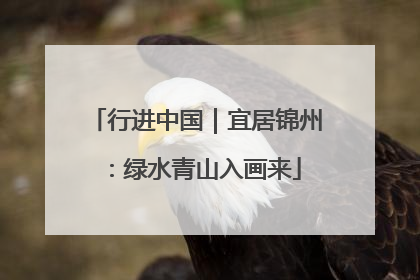 行进中国｜宜居锦州：绿水青山入画来