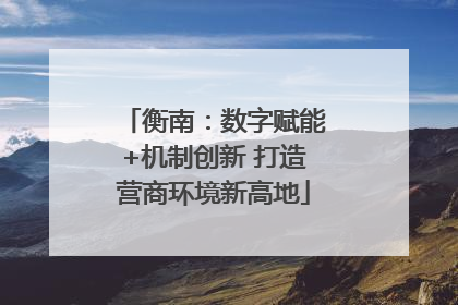 衡南：数字赋能+机制创新 打造营商环境新高地