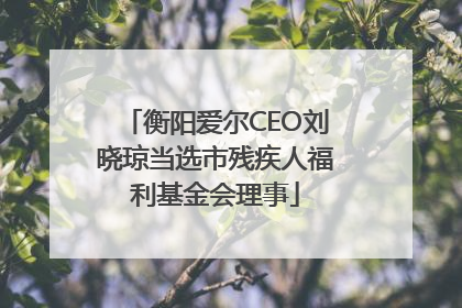 衡阳爱尔CEO刘晓琼当选市残疾人福利基金会理事