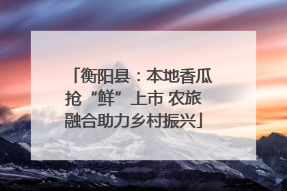 衡阳县：本地香瓜抢“鲜”上市 农旅融合助力乡村振兴