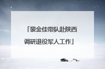 裴金佳带队赴陕西调研退役军人工作