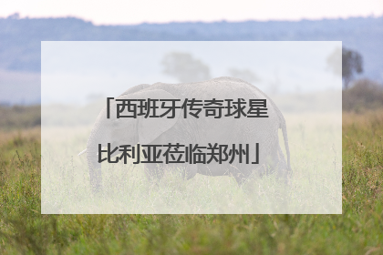 西班牙传奇球星 比利亚莅临郑州
