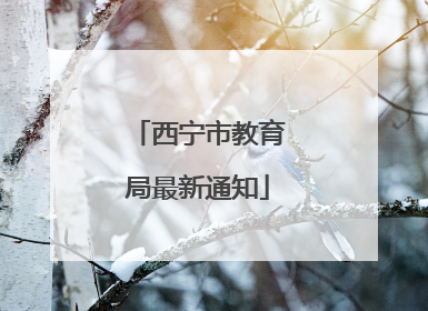 西宁市教育局最新通知