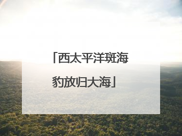 西太平洋斑海豹放归大海