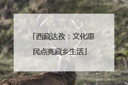 西藏达孜：文化惠民点亮藏乡生活