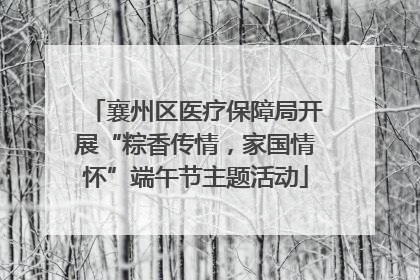 襄州区医疗保障局开展“粽香传情，家国情怀”端午节主题活动