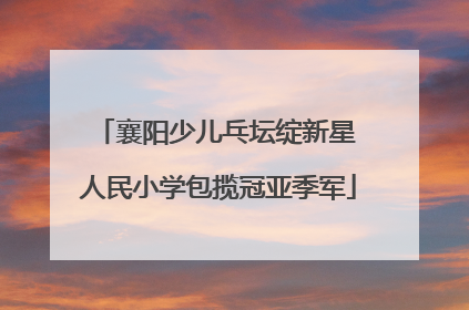 襄阳少儿乓坛绽新星 人民小学包揽冠亚季军