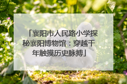 襄阳市人民路小学探秘襄阳博物馆：穿越千年触摸历史脉搏