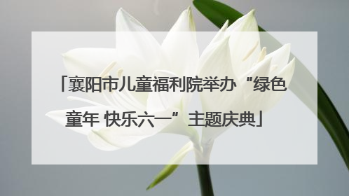 襄阳市儿童福利院举办“绿色童年 快乐六一”主题庆典