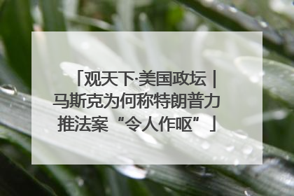 观天下·美国政坛｜马斯克为何称特朗普力推法案“令人作呕”