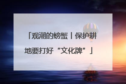 观潮的螃蟹丨保护耕地要打好“文化牌”
