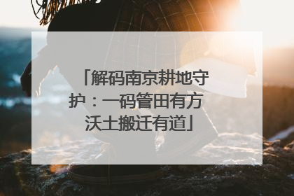 解码南京耕地守护：一码管田有方 沃土搬迁有道