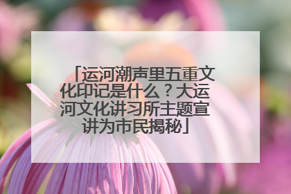 运河潮声里五重文化印记是什么？大运河文化讲习所主题宣讲为市民揭秘