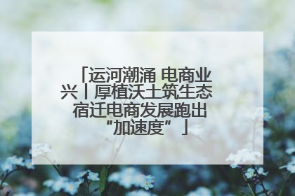 运河潮涌 电商业兴丨厚植沃土筑生态 宿迁电商发展跑出“加速度”