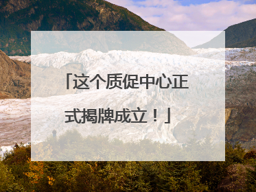 这个质促中心正式揭牌成立！