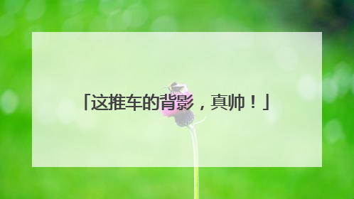 这推车的背影，真帅！