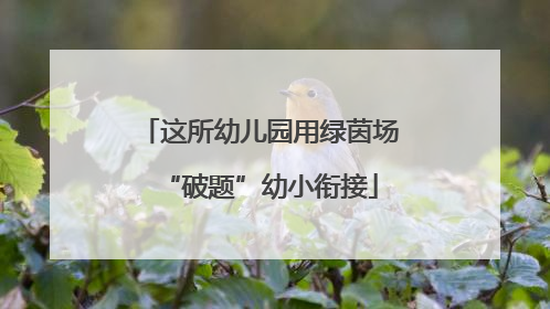 这所幼儿园用绿茵场“破题”幼小衔接
