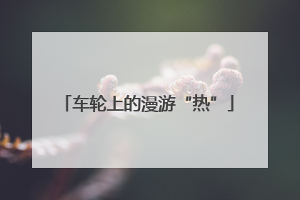 车轮上的漫游“热”