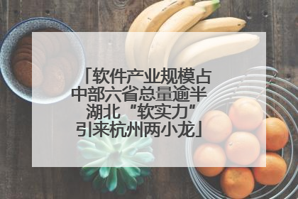 软件产业规模占中部六省总量逾半 湖北“软实力”引来杭州两小龙