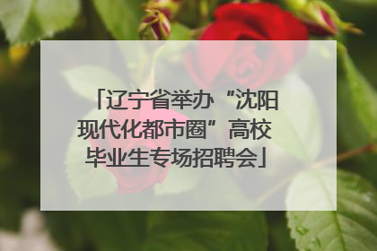 辽宁省举办“沈阳现代化都市圈”高校毕业生专场招聘会