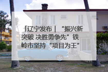 辽宁发布｜“振兴新突破 决胜勇争先”铁岭市坚持“项目为王”推进经济高质量发展