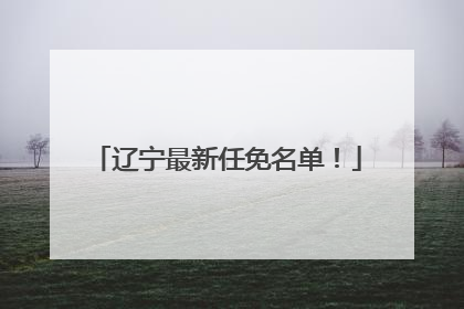 辽宁最新任免名单！