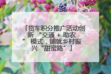 货车积分推广活动创新 “交通 + 助农” 模式，铺就乡村振兴“甜蜜路”