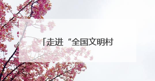 走进“全国文明村镇”庐山西海上畈村 探寻和美乡村的“幸福密码”