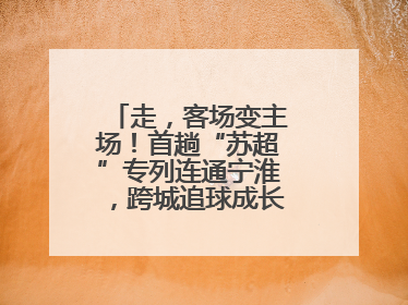 走，客场变主场！首趟“苏超”专列连通宁淮，跨城追球成长三角人新日常