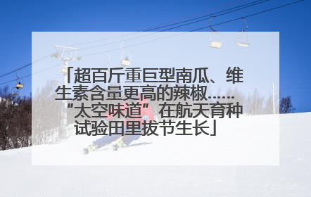 超百斤重巨型南瓜、维生素含量更高的辣椒……“太空味道”在航天育种试验田里拔节生长