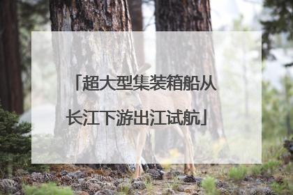 超大型集装箱船从长江下游出江试航