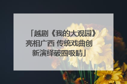 越剧《我的大观园》亮相广西 传统戏曲创新演绎破圈吸睛