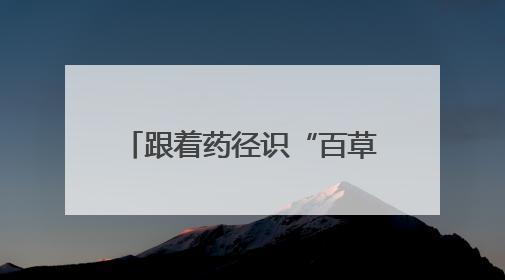 跟着药径识“百草”，宁波首条中医药研学步道发布