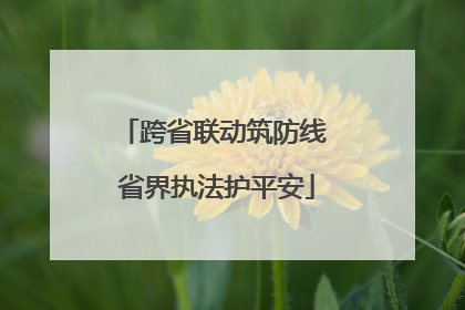 跨省联动筑防线 省界执法护平安