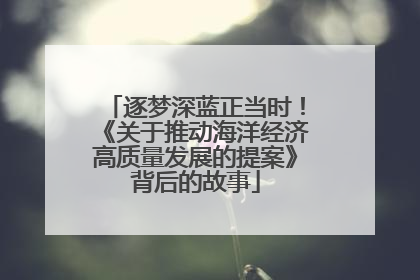 逐梦深蓝正当时！《关于推动海洋经济高质量发展的提案》背后的故事