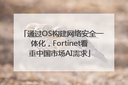 通过OS构建网络安全一体化，Fortinet看重中国市场AI需求
