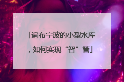 遍布宁波的小型水库，如何实现“智”管