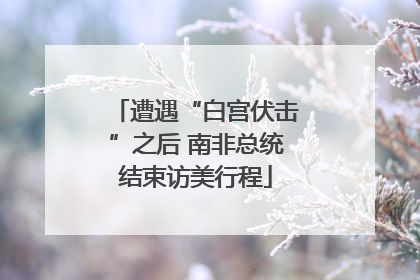 遭遇“白宫伏击”之后 南非总统结束访美行程