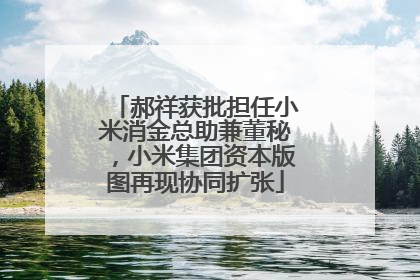 郝祥获批担任小米消金总助兼董秘，小米集团资本版图再现协同扩张