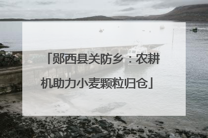 郧西县关防乡：农耕机助力小麦颗粒归仓