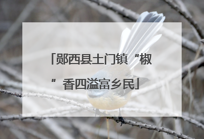 郧西县土门镇“椒”香四溢富乡民