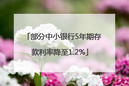 部分中小银行5年期存款利率降至1.2%