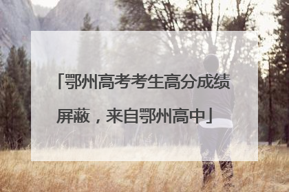鄂州高考考生高分成绩屏蔽，来自鄂州高中