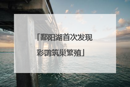 鄱阳湖首次发现彩鹮筑巢繁殖