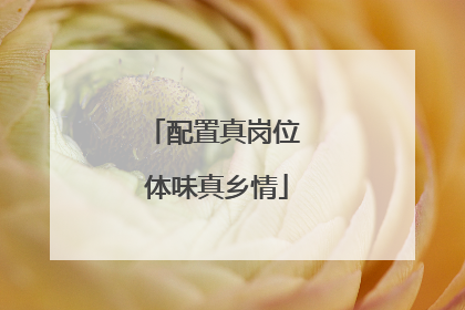 配置真岗位 体味真乡情