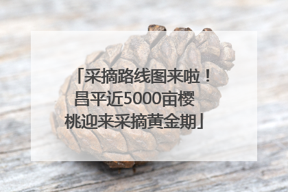 采摘路线图来啦！昌平近5000亩樱桃迎来采摘黄金期