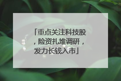 重点关注科技股，险资扎堆调研，发力长钱入市