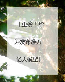 重磅！华为发布准万亿大模型
