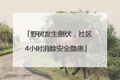 野树发生倒伏，社区4小时消除安全隐患